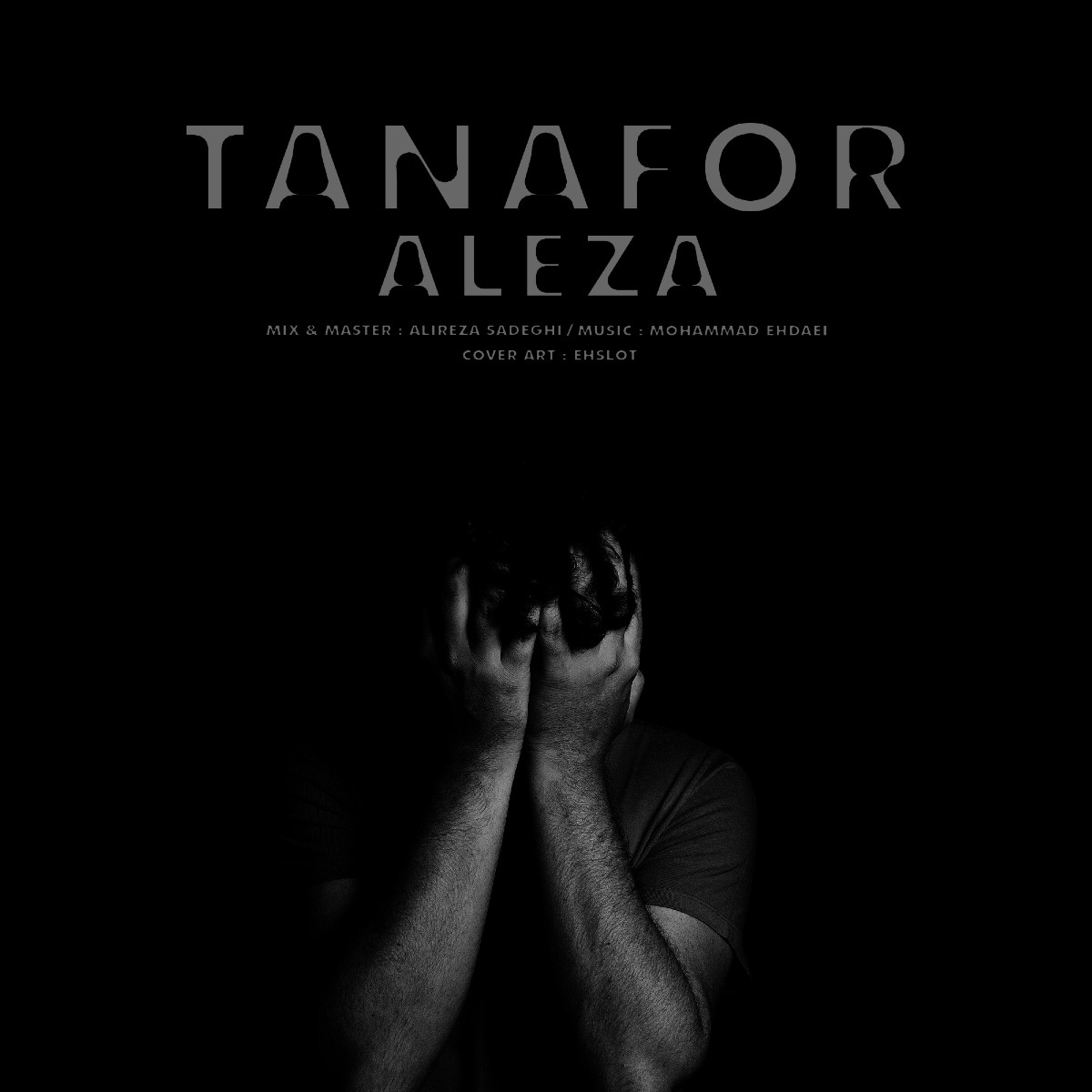 Aleza - Tanafor