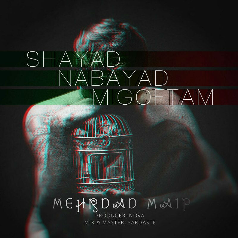 Mehrdad Maip - Shayad Nabayad Migoftam