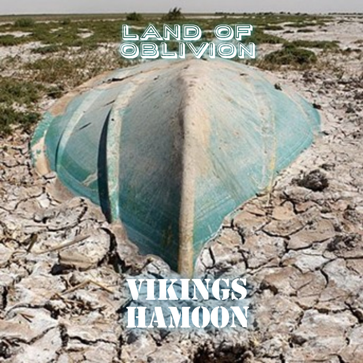 Vikings - Hamoon