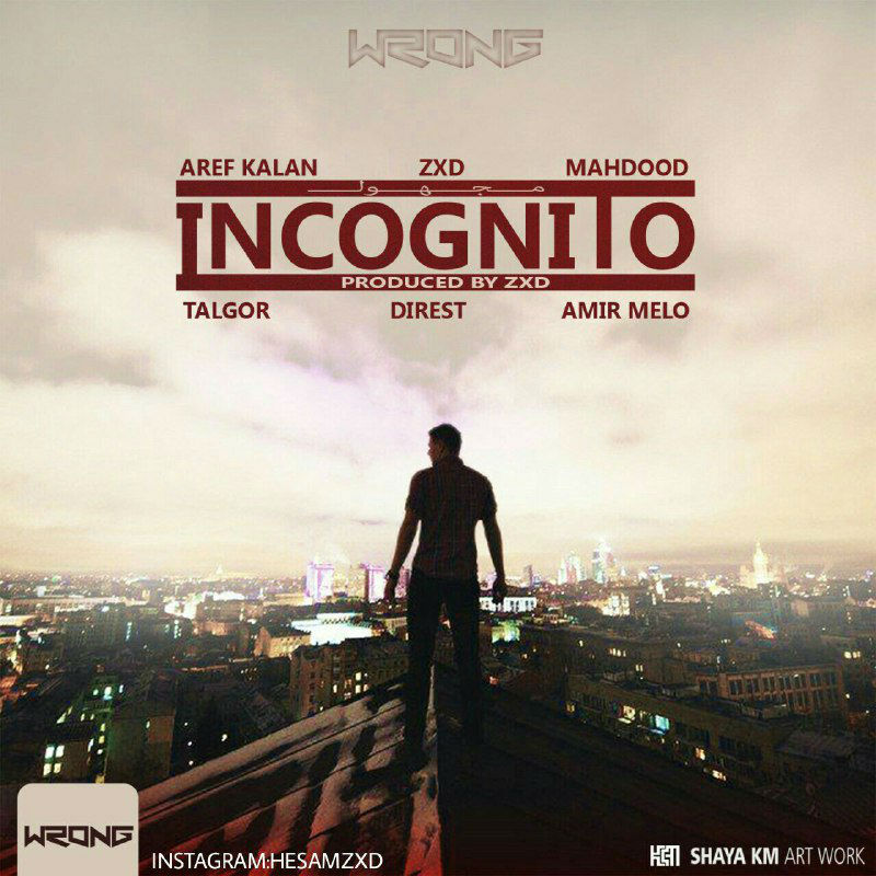 Various Artists - Incognito