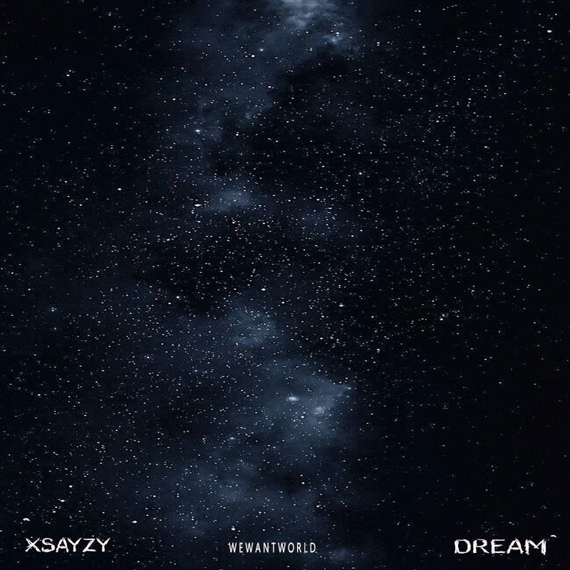 xsayzy - Dream